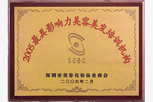 深圳市化妝品業商會頒發最具影響力培訓機構