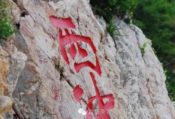 首腦學院歡樂夏游