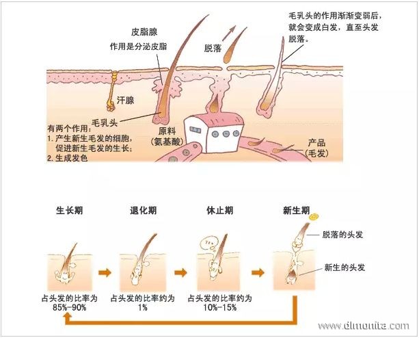 美發培訓