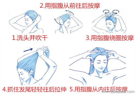 美發培訓