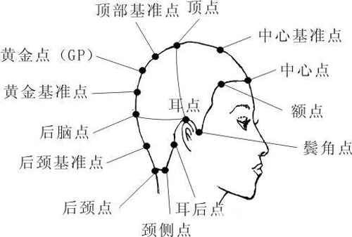 2023年初學者剪發基本手法